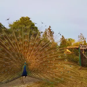 Podere Asche , Santa Fiora Italia